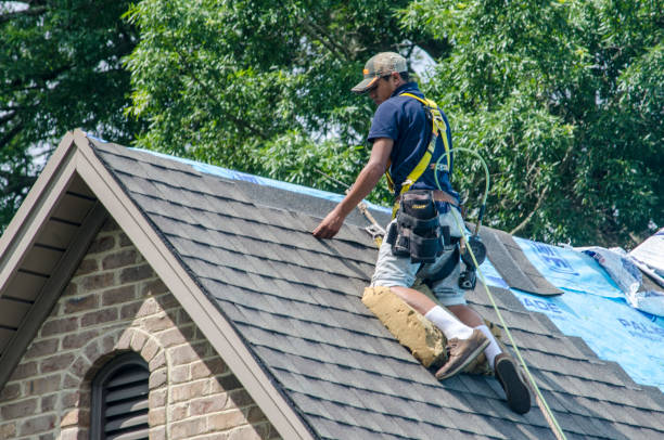 Quick and Trustworthy Emergency Roof Repair Services in Creve Coeur, MO